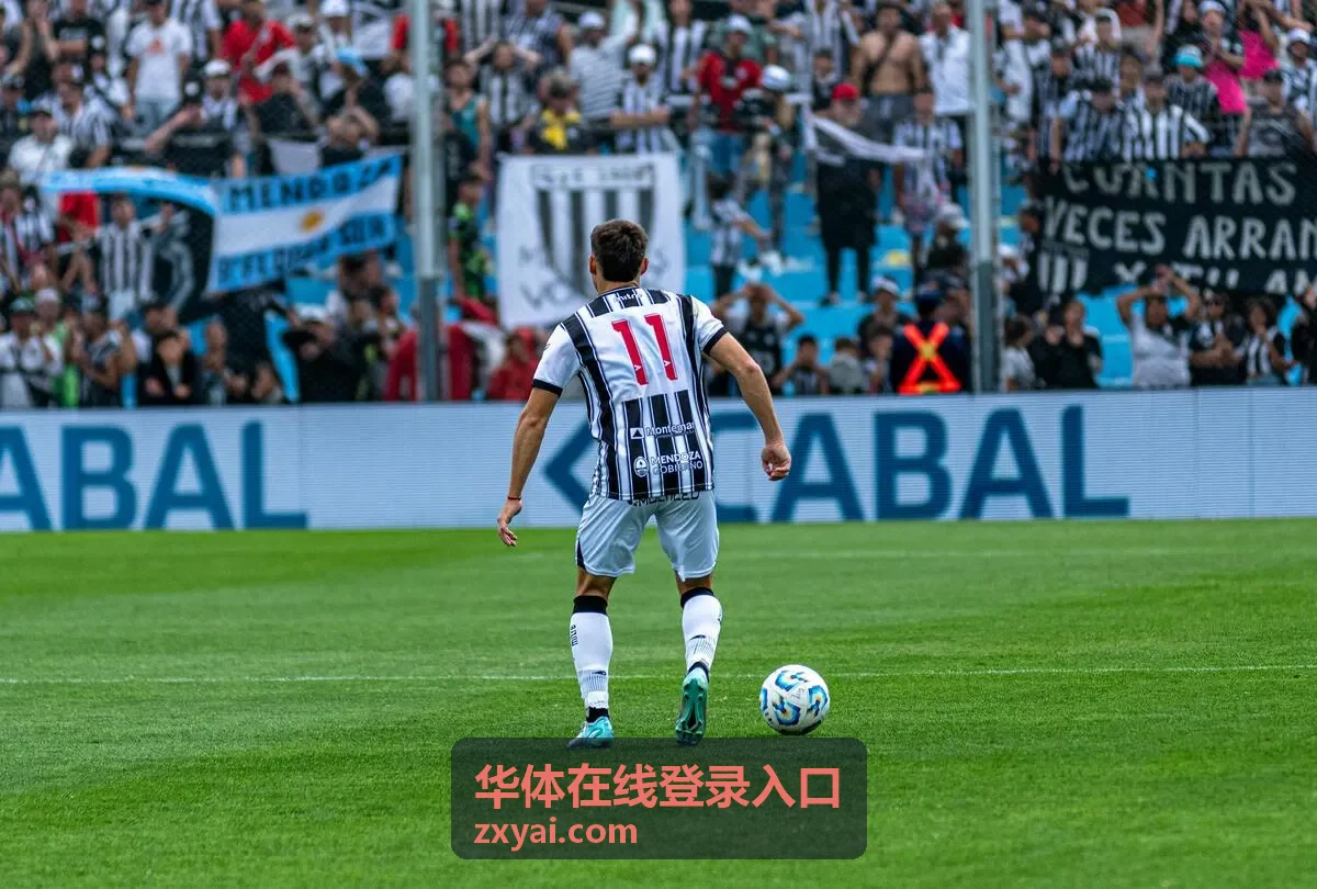 华体在线登录平台公共服务入口